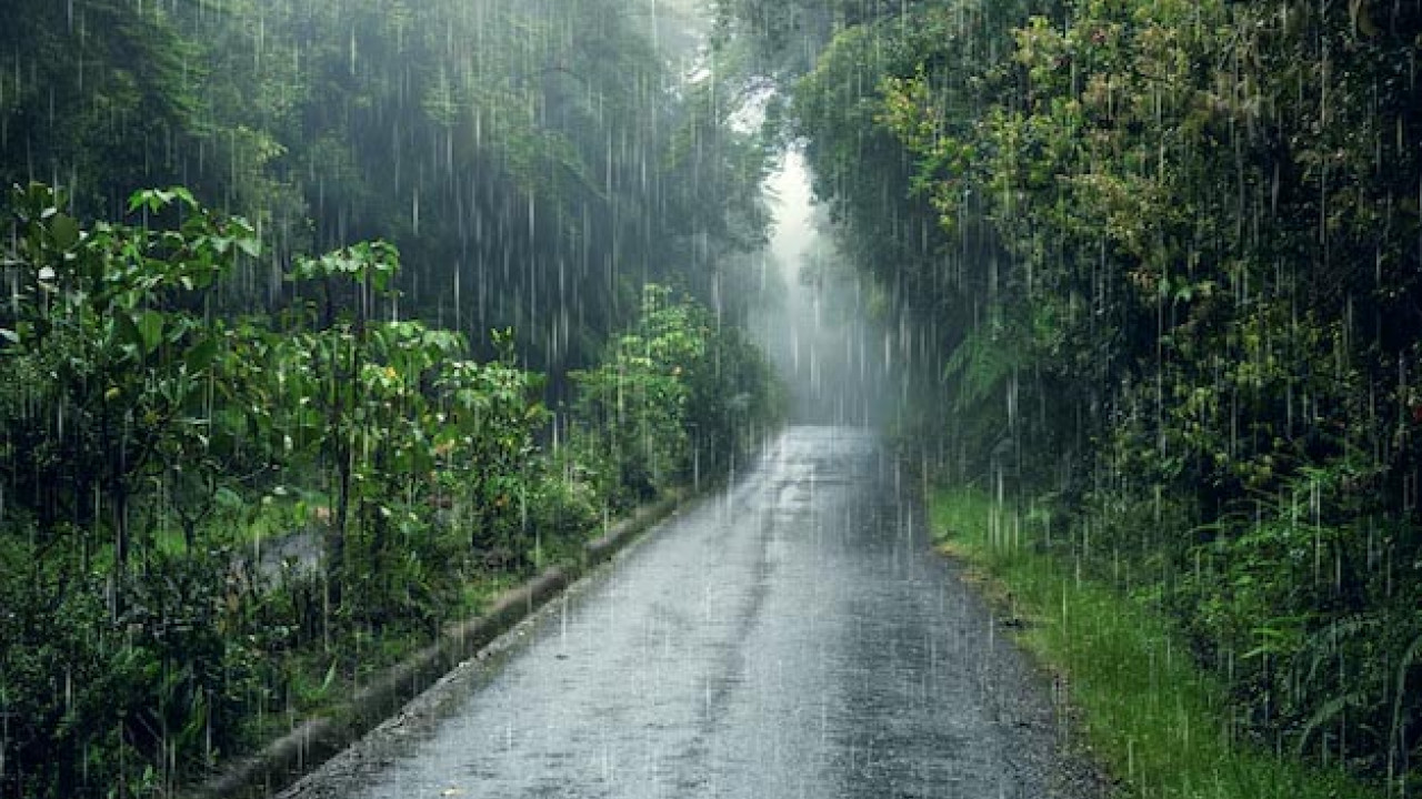 صوبائی دارالحکومت سمیت پنجاب کےمختلف شہروں میں بارش سے  موسم خوشگوار