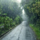 صوبائی دارالحکومت سمیت پنجاب کےمختلف شہروں میں بارش سے  موسم خوشگوار