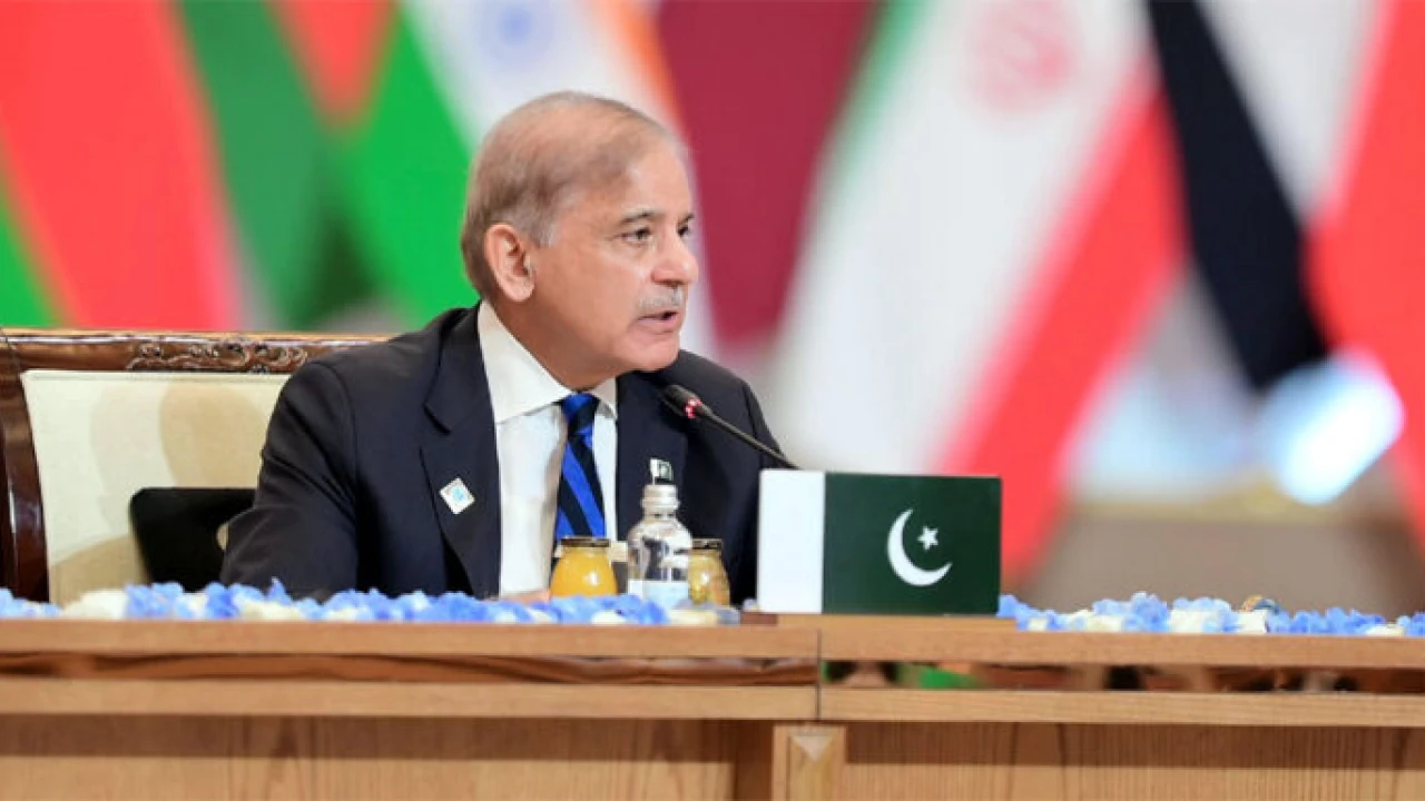 PM Shehbaz demands Israel’s accountability for war crimes in Palestine