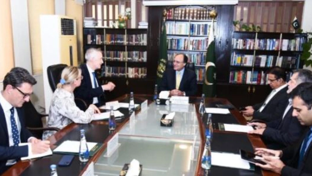 Finance minister meets Chairman Delivery Associates