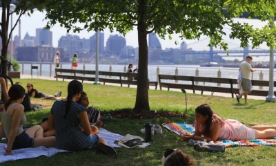 What American cities could do right now to save us from this unbearable heat