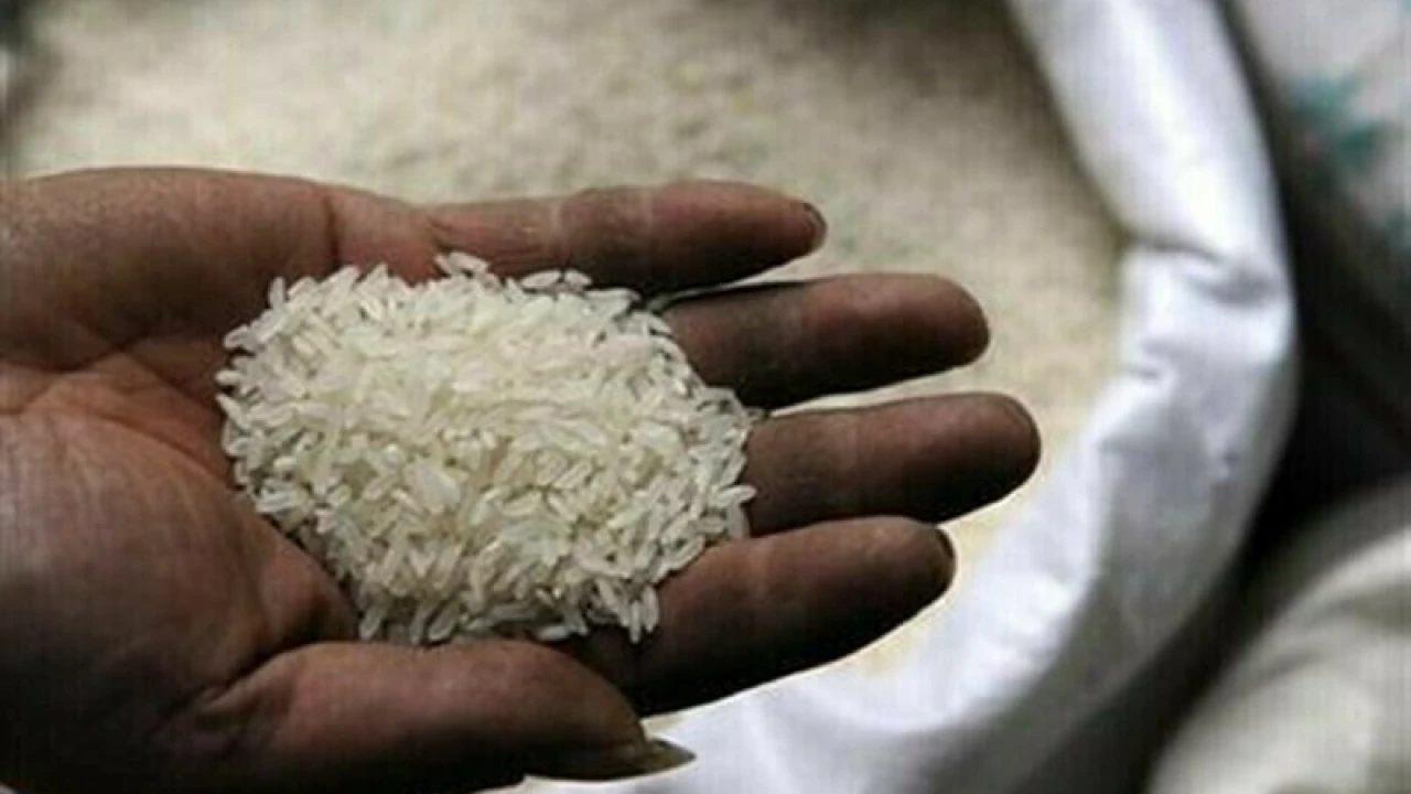 India plans to ease rice export curbs to retain market share against Pakistan