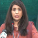 کسی سیاسی جماعت پر پابندی پاکستان کا داخلی معاملہ ہے، دفتر خارجہ