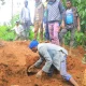 55 killed in Ethiopian landslide