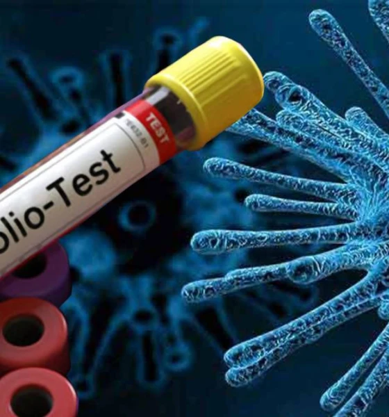 Poliovirus detected in Dadu's environmental samples also