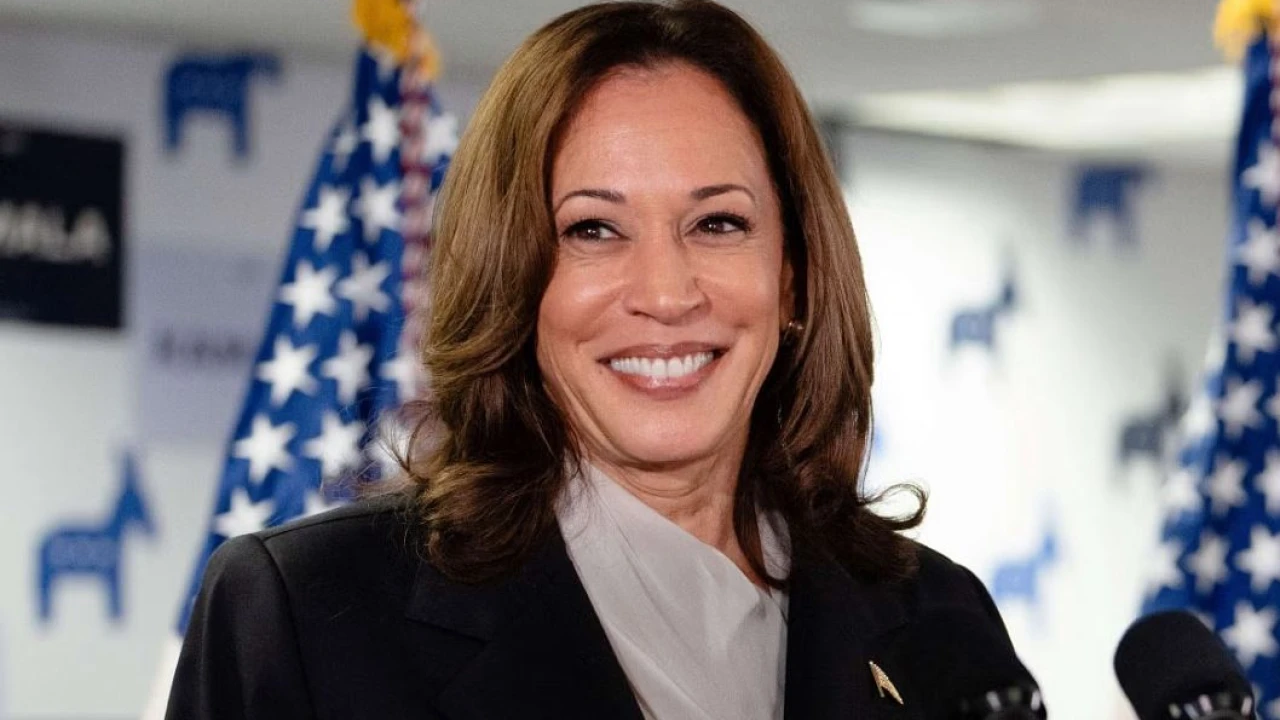 US Elections: Harris bashes Trump over 'fear and hate'