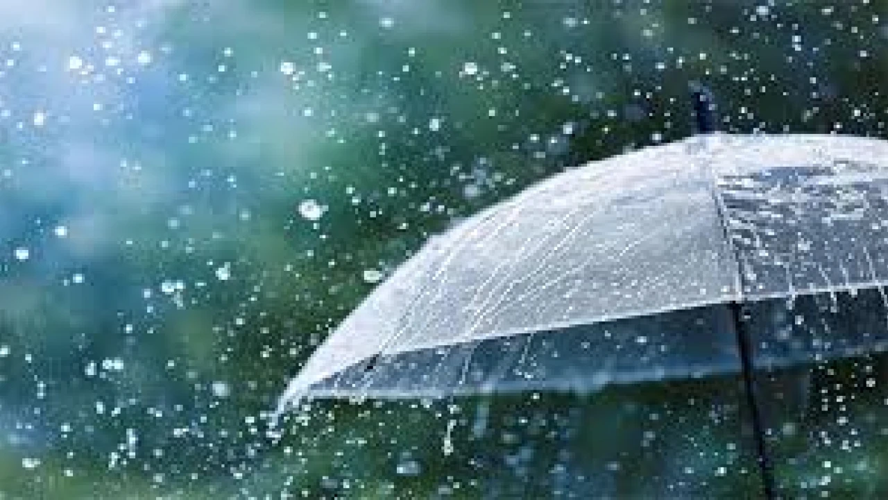 Rain likely at isolated places; humid weather to continue: PMD