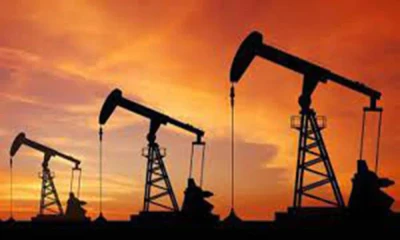 Large oil, gas reserves discovered in KP