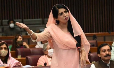 PTI leader Aliya Hamza secures bail
