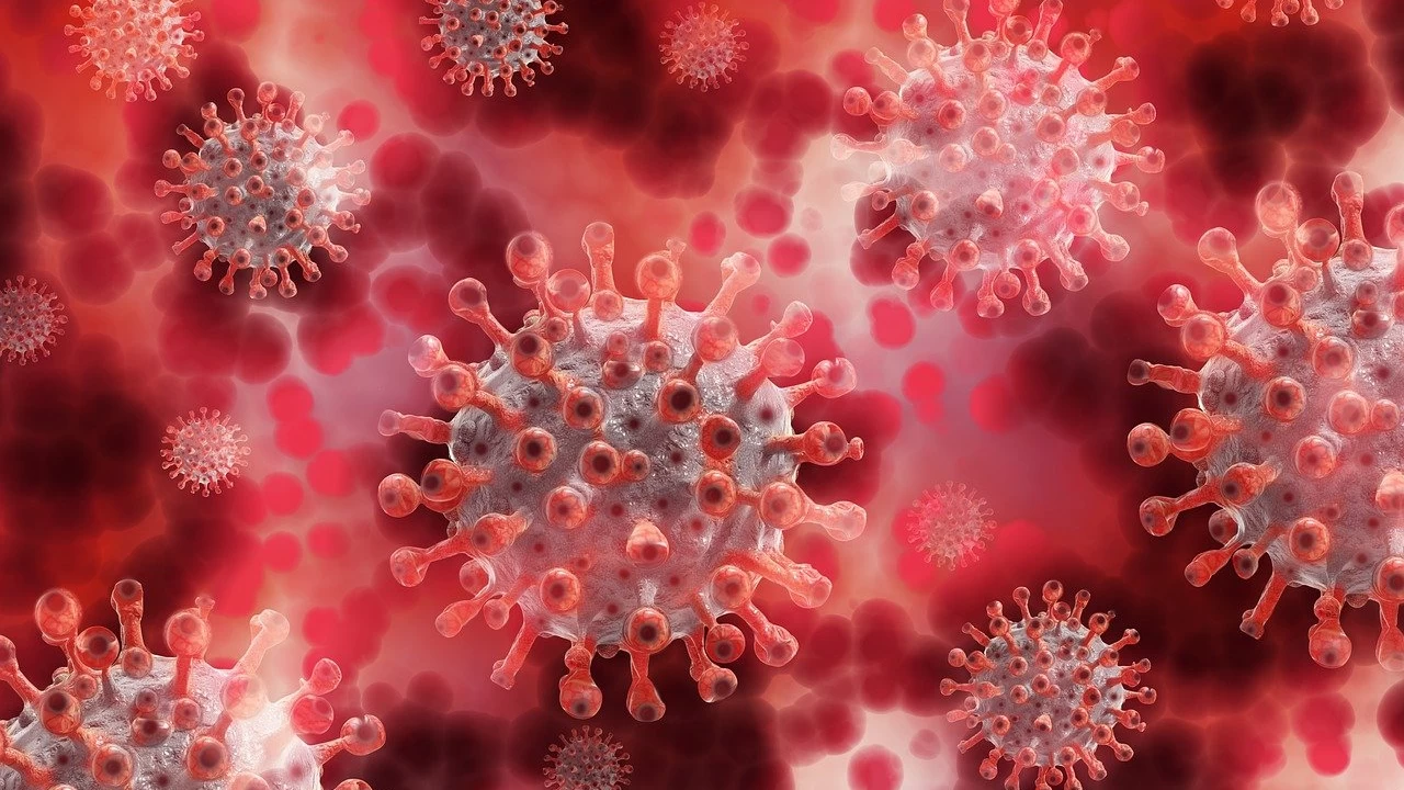 Pakistan reports 353 coronavirus cases in last 24 hours