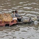 More than 350mm rainfall lashes Lahore, breaks 44-year record