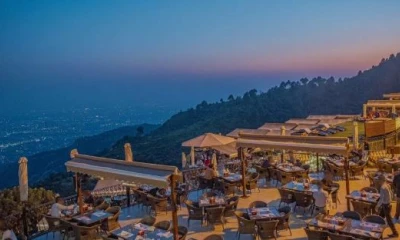 Monal to bid farewell to Margalla Hills this year in Sept