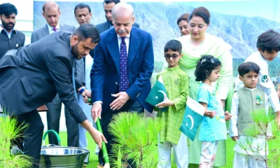 PM launches monsoon tree plantation