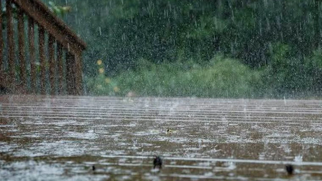 Monsoon rains expected in Punjab in 24 hours