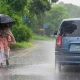 Monsoon rains likely till Aug 12 in Punjab 