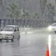 Weather turns pleasant after rain in Lahore