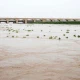 Rivers Indus, Kabul run in medium, low flood: FFC