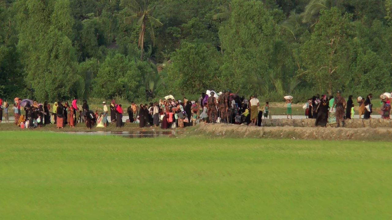 Drone attack kills over 200 Rohingya in Myanmar