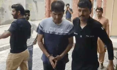 PTI’s Waqas Janjua granted bail in terrorism case