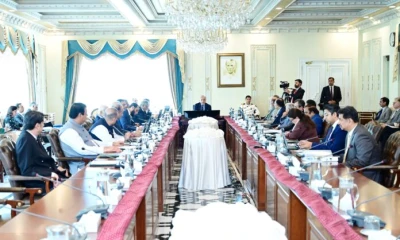 Cabinet approves enhancement in Privatization Commission Board members’ strength