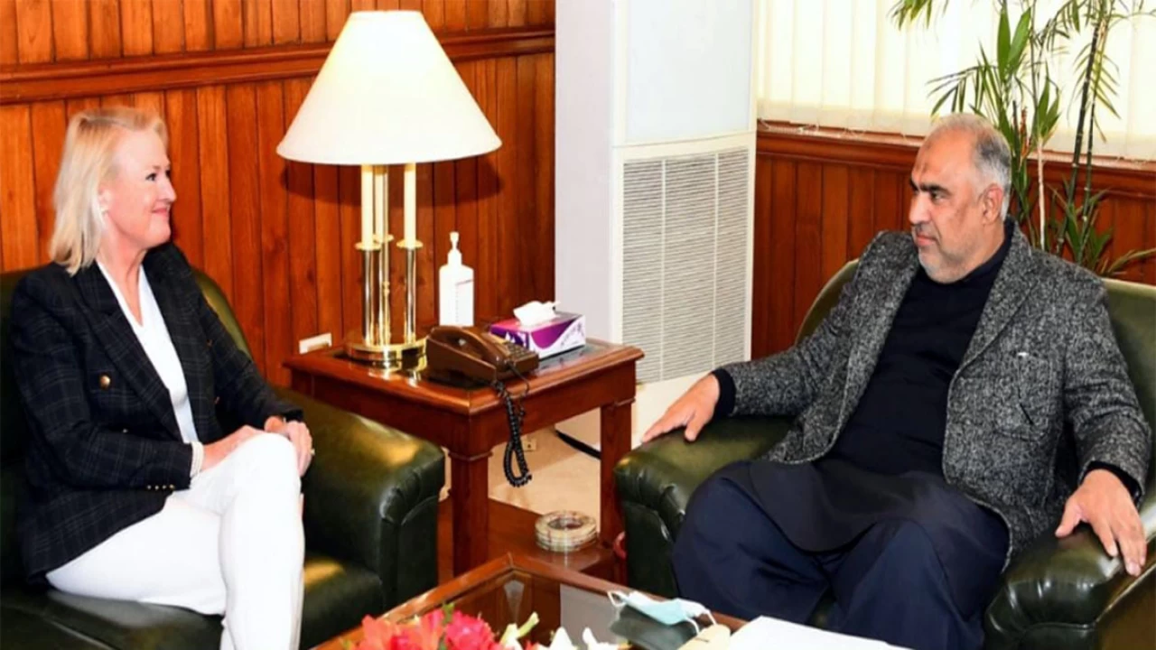 Pakistan rendered unmatched sacrifices in war against terrorism: Angela Aggeler