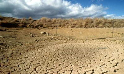 Africa faces steep costs as temperatures soar, says WMO