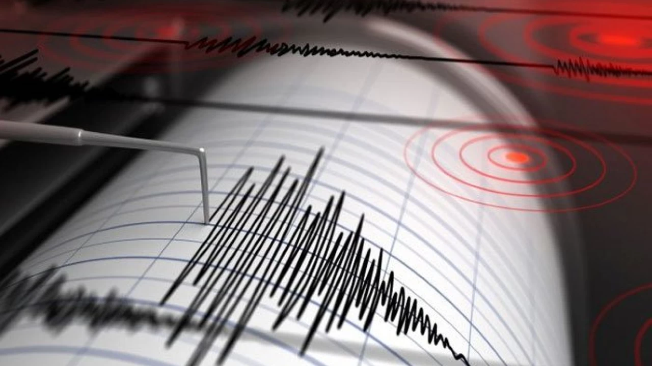 7.3 magnitude earthquake strikes off Indonesia