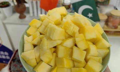 Pakistani fruit, juice exports to China surge this year