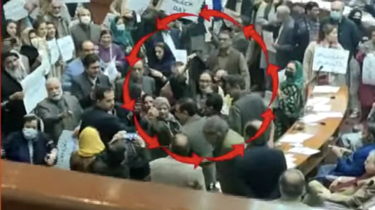 PPP MNA Shagufta Jamani slaps PTI’s Ghazala Saifi in NA session