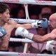 Inoue retains undisputed title with TKO in Tokyo