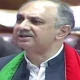 Special committee has no mandate to bring constitutional amendment: Omar Ayub