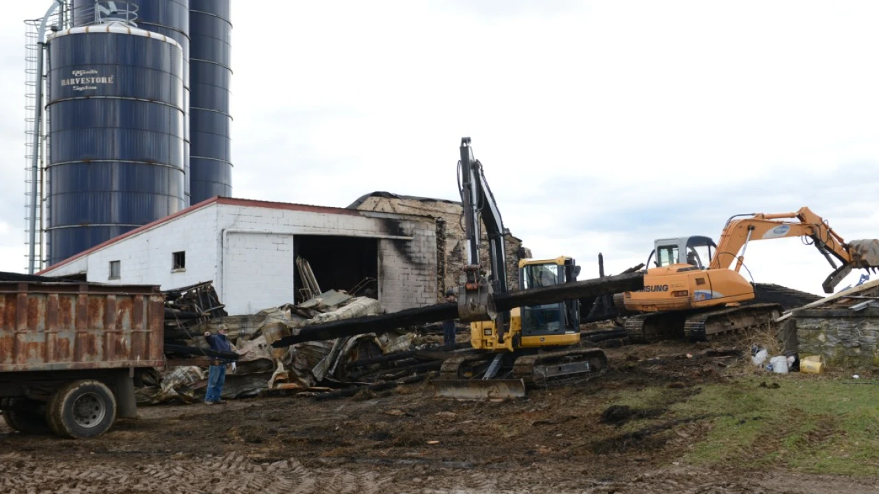 A thousand pigs just burned alive in a barn fire