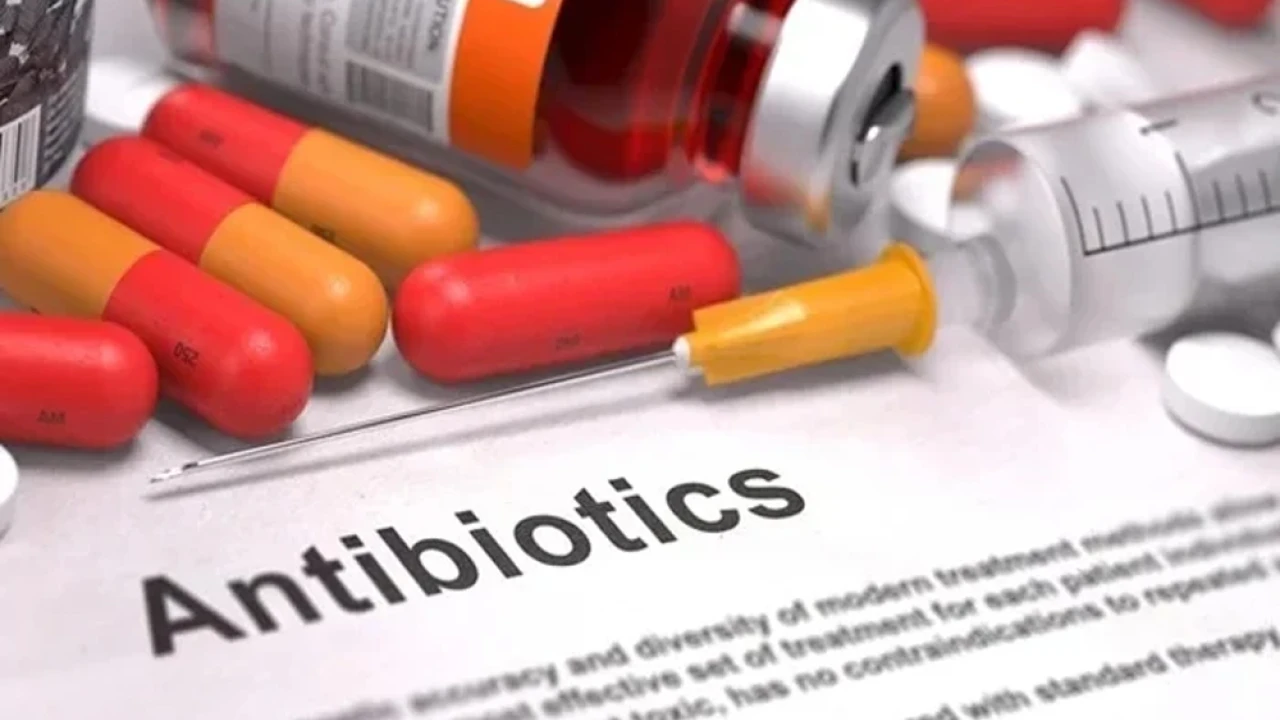 Antibiotic resistance likely to cause 40mn deaths by 2050: Study 