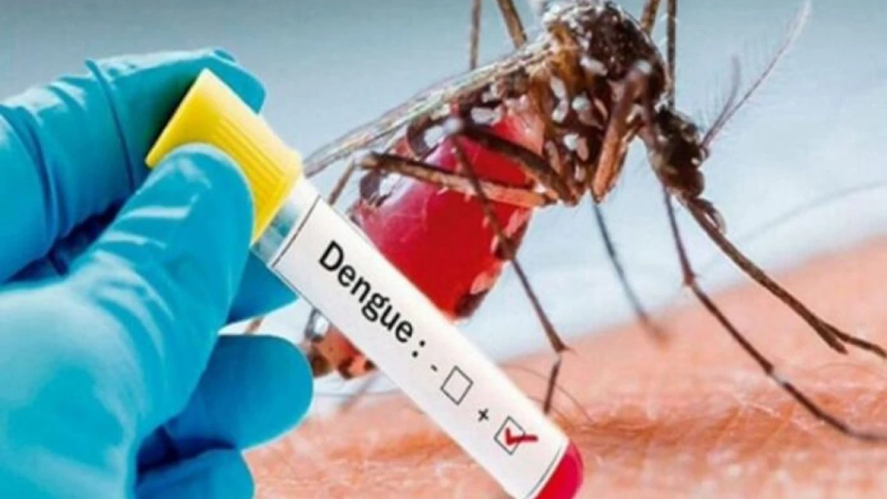 64 more dengue cases reported in Islamabad