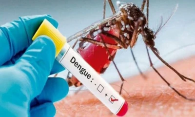 64 more dengue cases reported in Islamabad