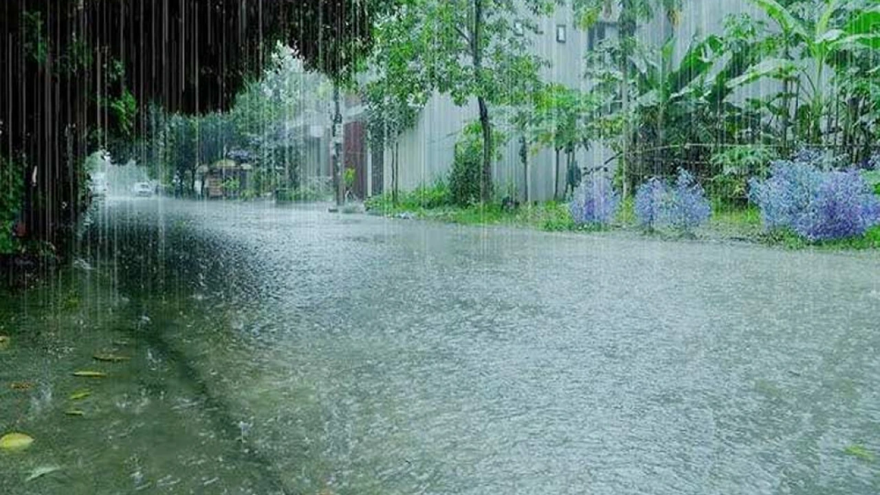 Rain predicted in most cities from today