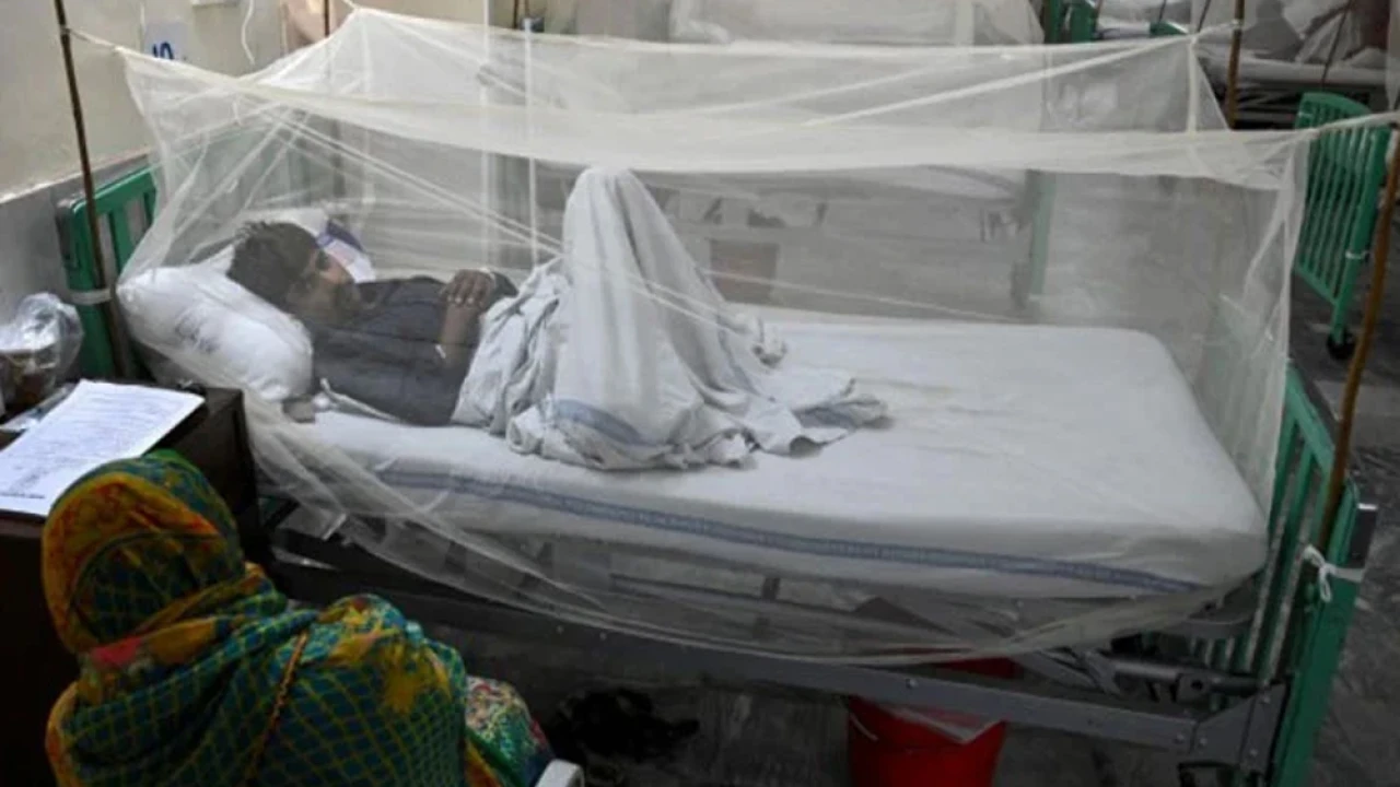 93 more dengue cases in Punjab