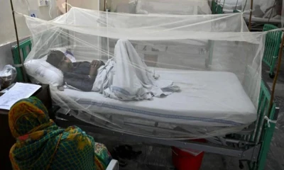 93 more dengue cases in Punjab