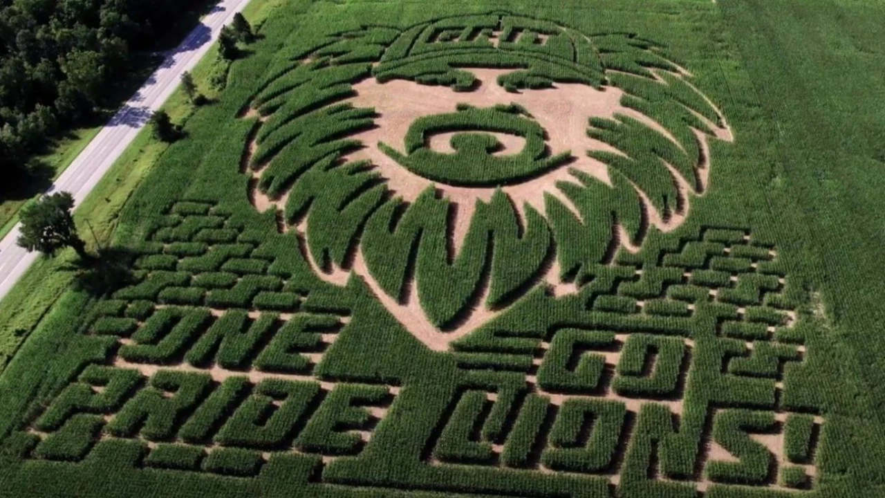 Carved in corn: Dan Campbell and Caitlin Clark inspire mazes