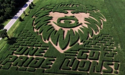 Carved in corn: Dan Campbell and Caitlin Clark inspire mazes