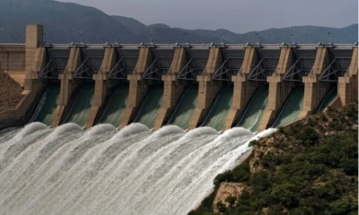 Punjab, Sindh to face 16% water shortage during Rabi season: IRSA