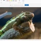 Microsoft Paint is getting Photoshop-like generative AI fill and erase features