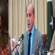 Pakistani politicians share message on Palestine Solidarity Day