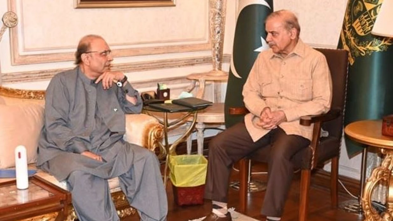 PM Shehbaz, President Zardari discuss constitutional amendments