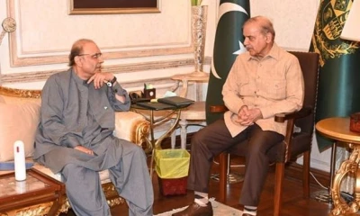 PM Shehbaz, President Zardari discuss constitutional amendments