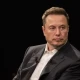 Elon Musk to award $1 million each day to a signer of his petition