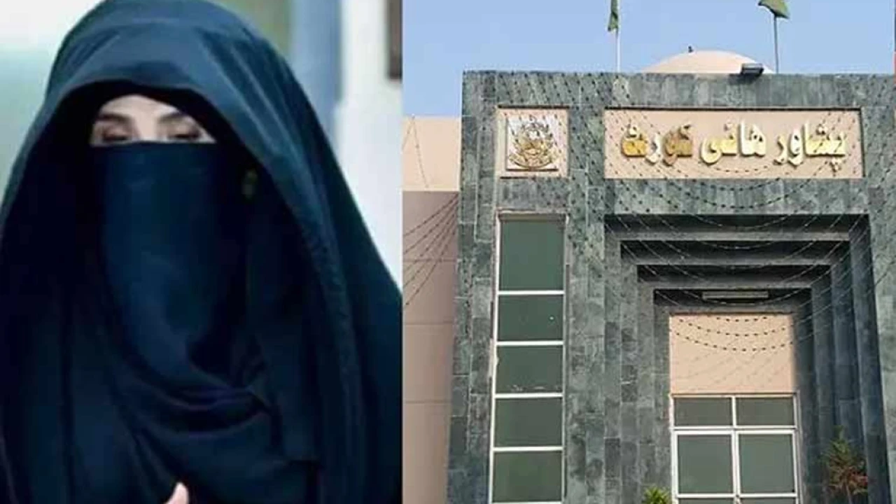 Bushra Bibi granted protective bail