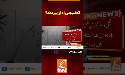 تعلیمی ادارے بند!! #gnn #news #smog #lahore #pakistan #punjab #latest