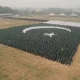 New world record: Pakistan makes largest human flag