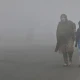 Unicef urges action as over 11m children face toxic smog in Punjab